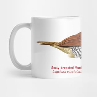 Scaly-breasted Munia | Lonchura punctulata Mug